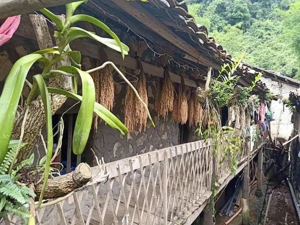 Yến Nhi Bản Giốc Homestay - Nhà sàn đá cổ Cao Bang Extérieur photo